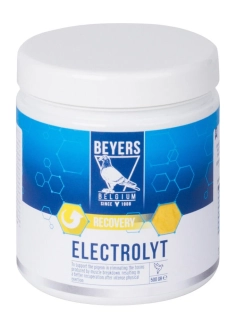 ELECTROLYT 500 g